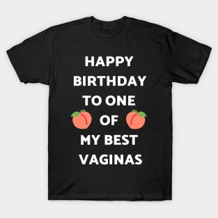 Best Funny Gift Idea for Wife Birthday T-Shirt